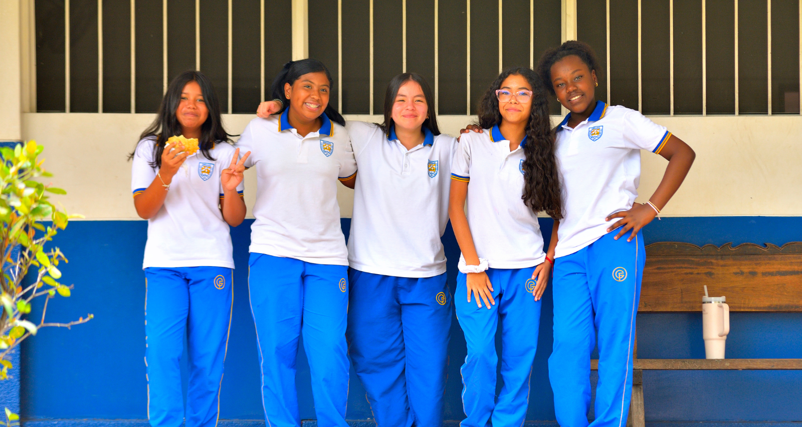 Bienestar estudiantil