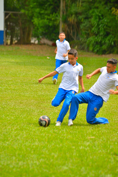 Desarrollo Deportivo